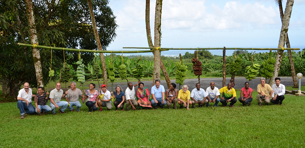 Workshop at CIRAD (Guadeloupe), photo by Rachel Chase